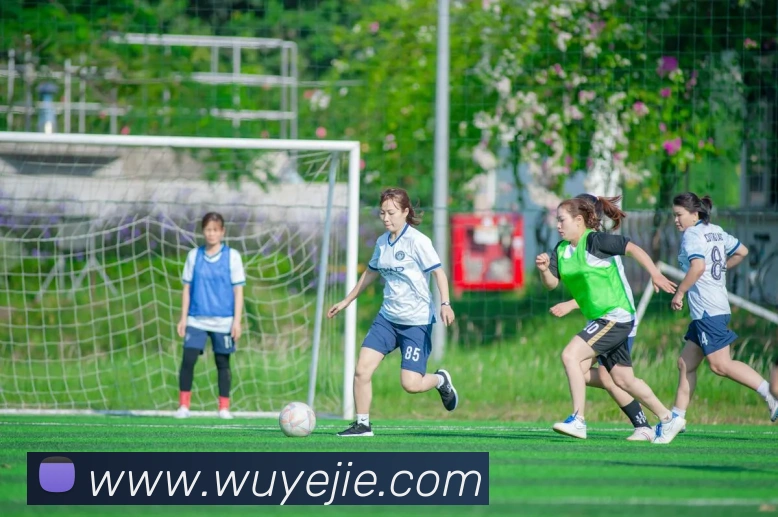 6t体育app官网平台生态图