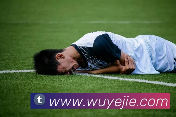 6t体育app官网APP 封面图